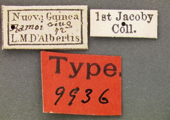 Media type: image; Entomology 9936   Aspect: labels